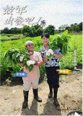 开门大吉